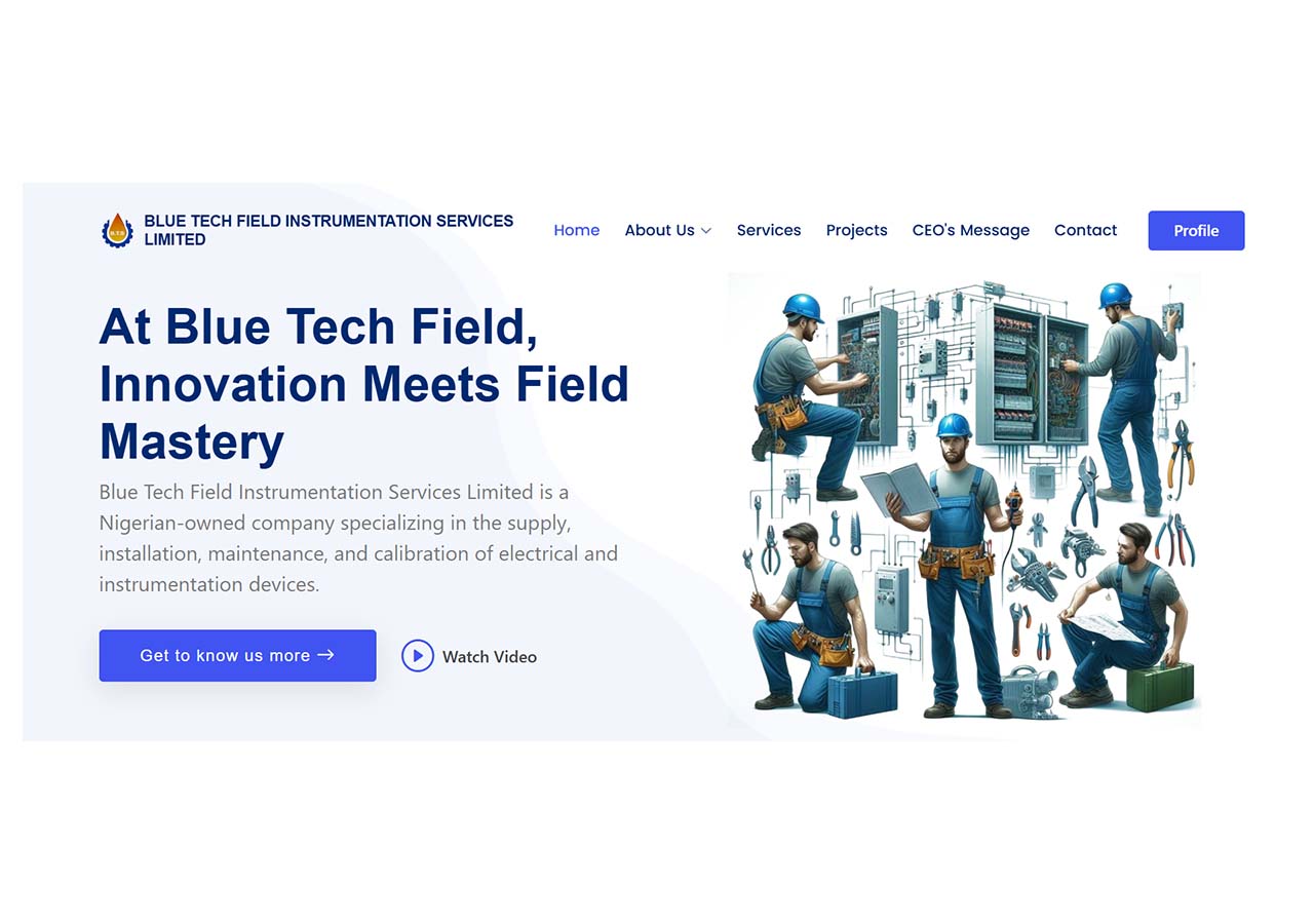 Blue Tech Field Instrumentation Services Limited